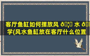 客厅鱼缸如何摆放风 🦅 水 🐟 学(风水鱼缸放在客厅什么位置zui
好)